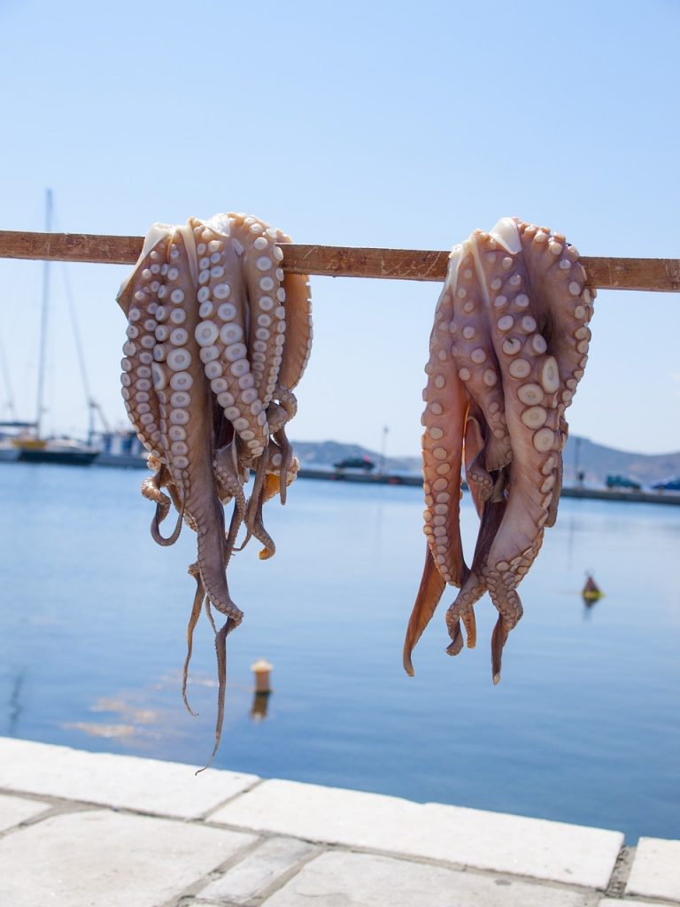 Octopus in Naxos_Greek island