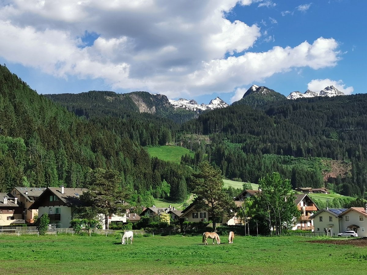 Il Bosco Nascosto Val Di Fiemme