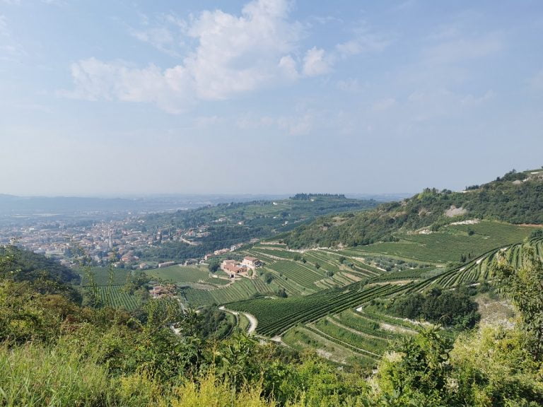 Valpolicella, le cose da fare tra cene in vigna, escursioni, vendemmia Valpolicella, le cose da fare tra cene in vigna, escursioni, vendemmia