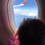 volo cancellato o in ritardo?