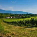 autunno in veneto_colline prosecco