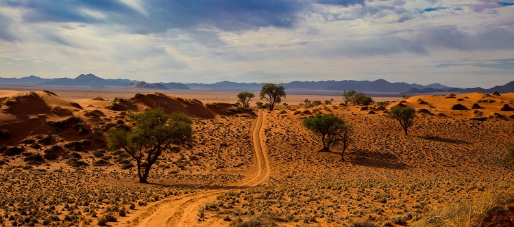 cosa vedere in namibia