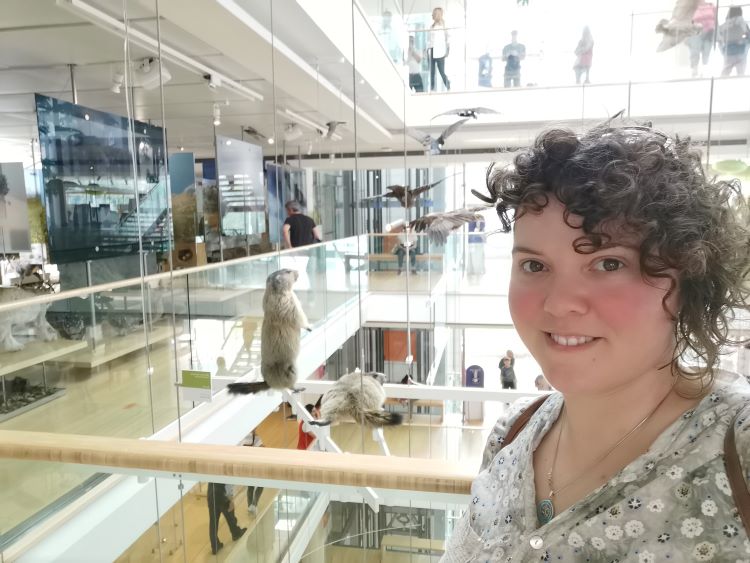 cosa vedere a Trento