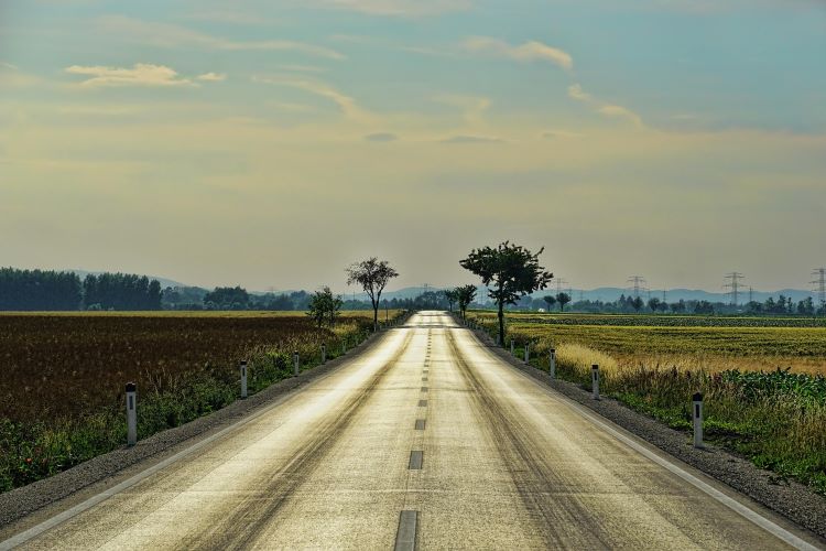 come noleggiare un'auto online