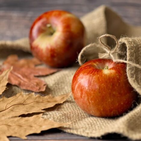 Autunno in Trentino: eventi, sagre e festival da non perdere nel 2025 1 autunno in trentino