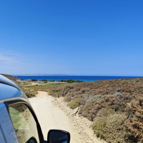 Come prenotare un’esperienza su GetYourGuide: guida semplice per organizzare il tuo viaggio