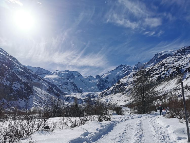 trenino del bernina 