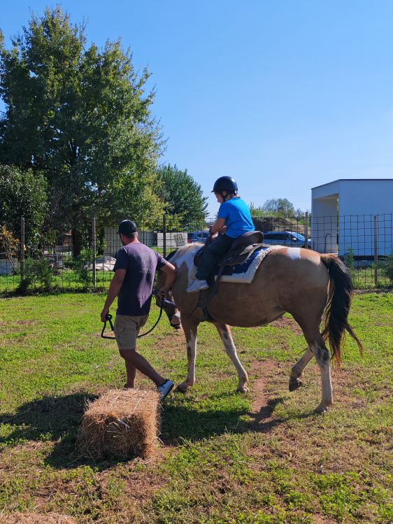 Tatanka Farm a Costabissara: la storia di un sogno, due amici e un allevamento di bisonti in Veneto 2 attività per bambini vicenza